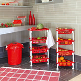 Catrina Plastic Organizer Set